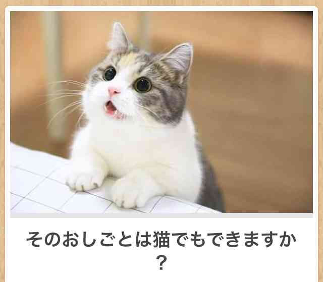 【名言】ガールズちゃんねる的流行語2019【迷言】