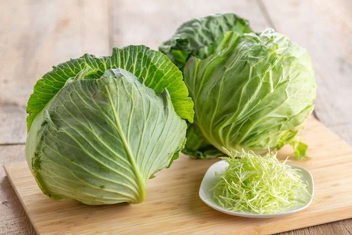 おすすめの市販の胃腸薬