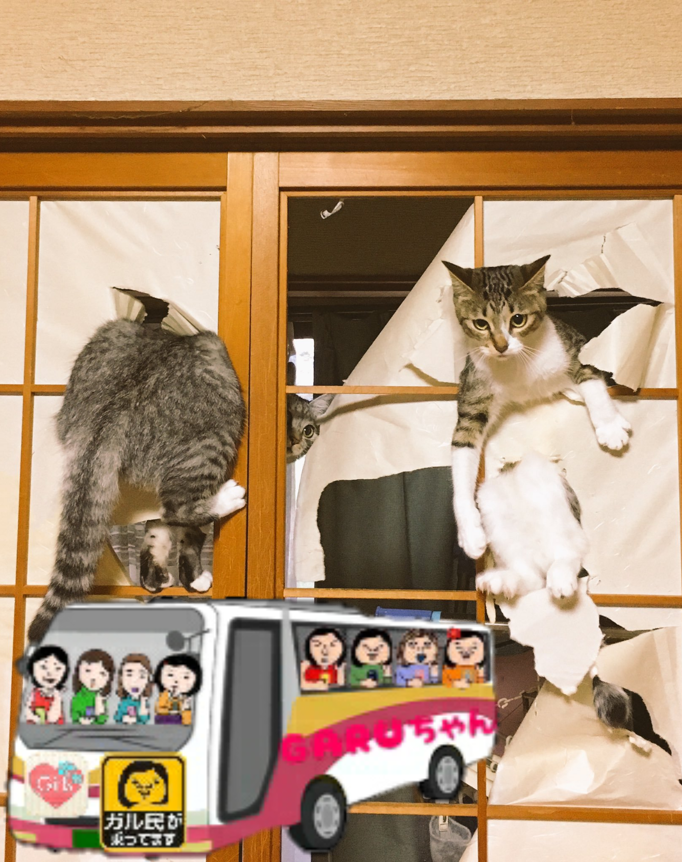 【画像コラージュ&コメント】ガルちゃん路線バス乗り継ぎの旅!