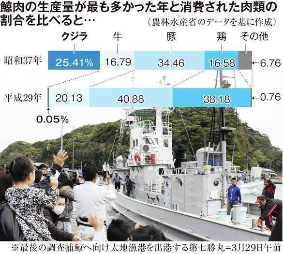 学校給食でクジラ 商業捕鯨再開で超党派議員が法改正案