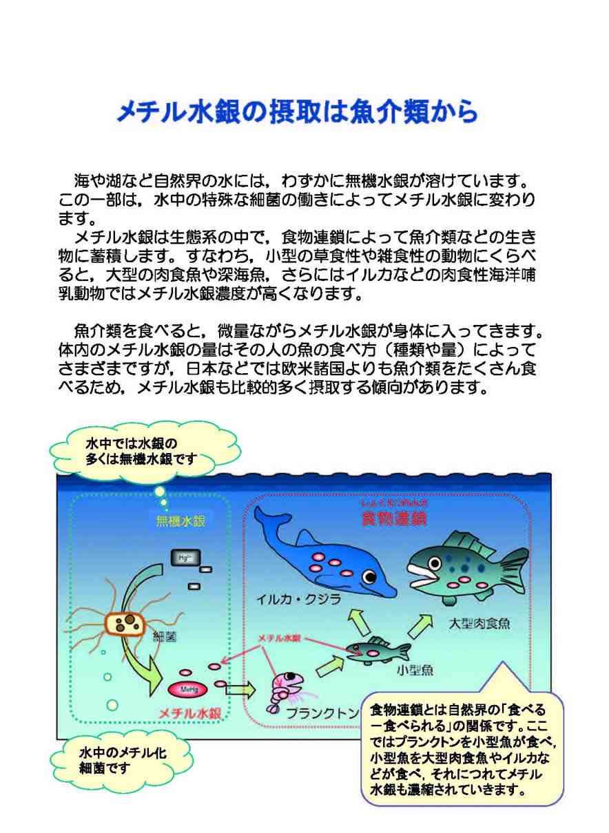 学校給食でクジラ 商業捕鯨再開で超党派議員が法改正案