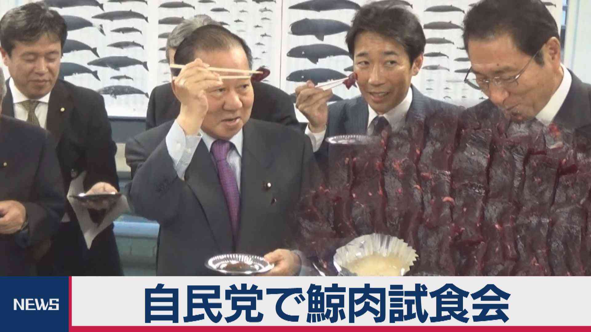 学校給食でクジラ 商業捕鯨再開で超党派議員が法改正案
