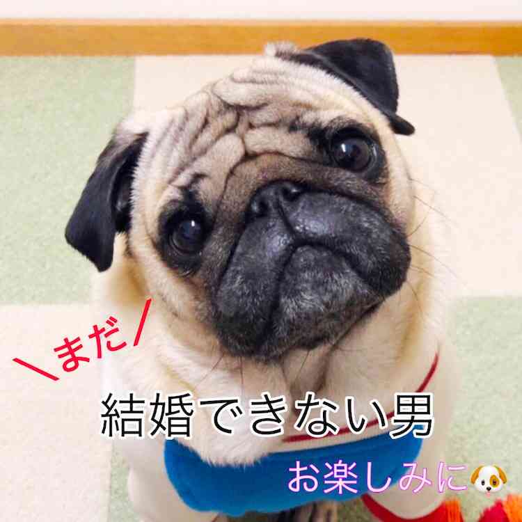 【実況・感想】まだ結婚できない男　#05