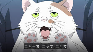 画像のアニメを当てるトピ