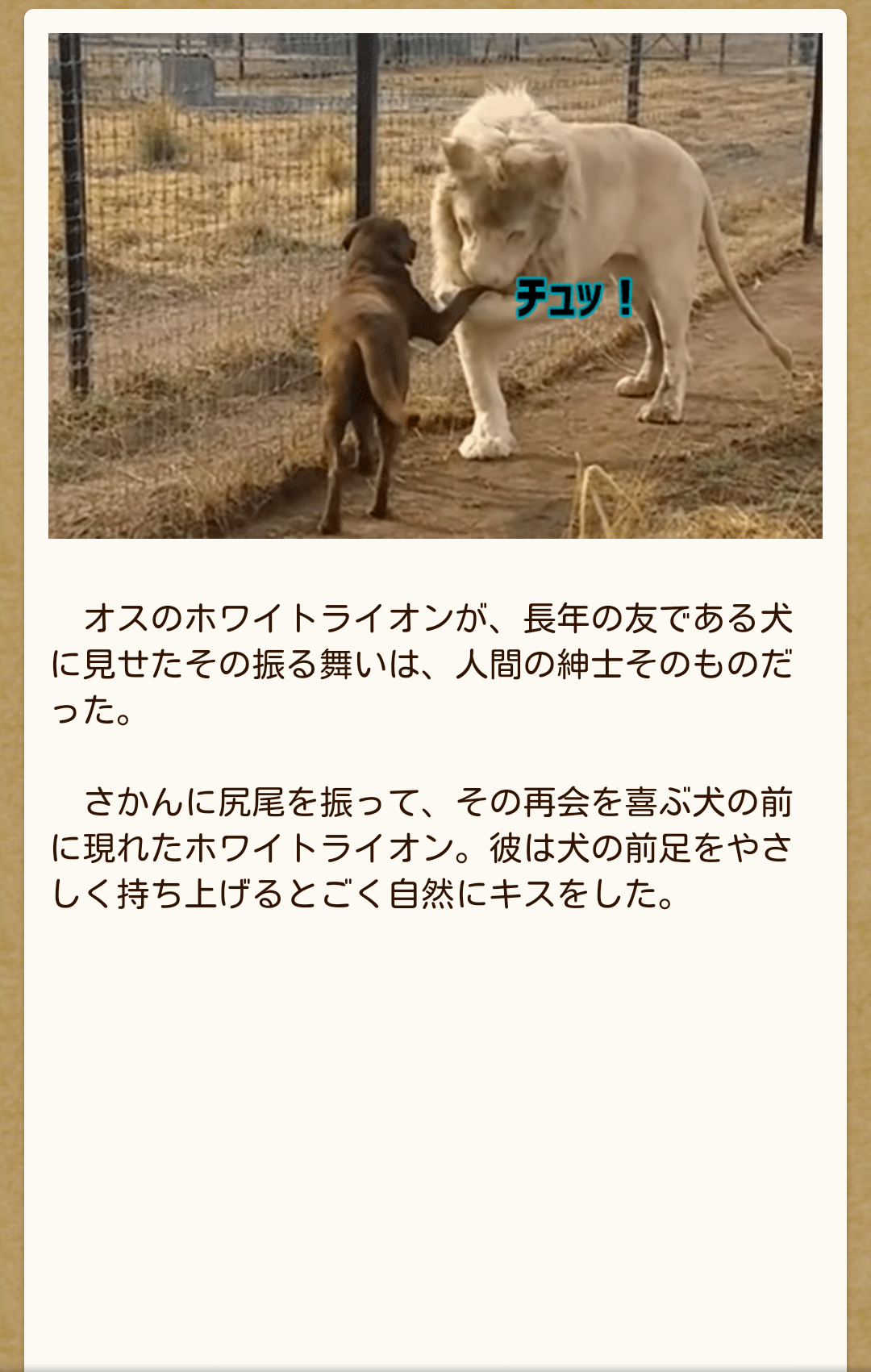 猫科の動物貼るトピ