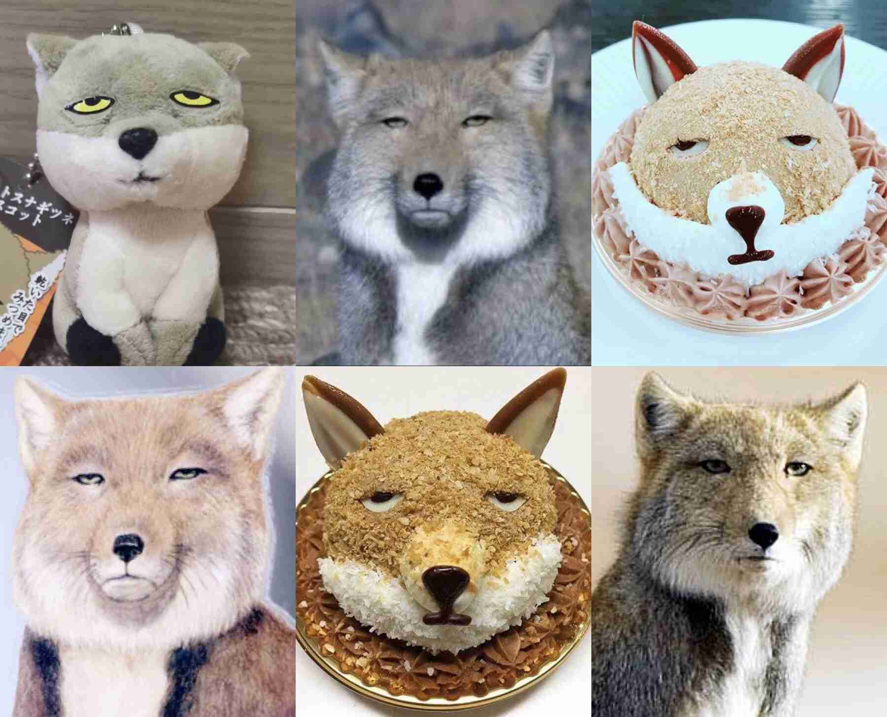 質問に対して不真面目に答えるトピpart2