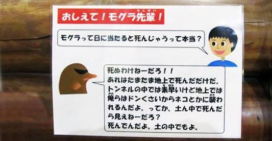 ごめん、私この画像ガルちゃんで何度も貼ってしまってます!って画像を正直に晒していくトピ