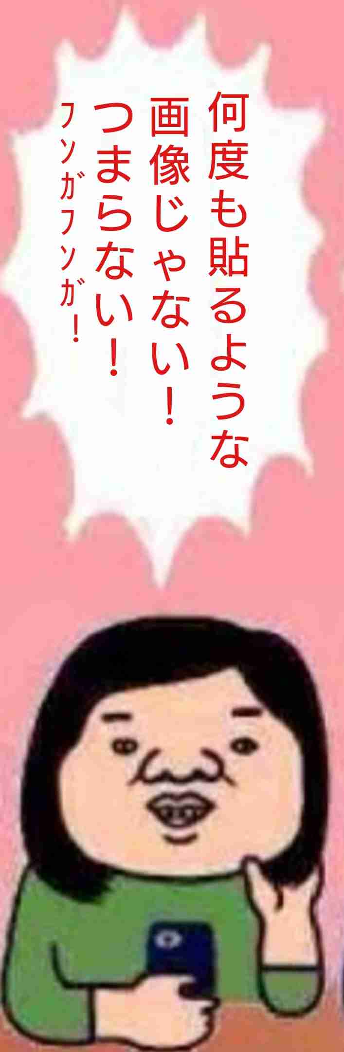 ごめん、私この画像ガルちゃんで何度も貼ってしまってます!って画像を正直に晒していくトピ