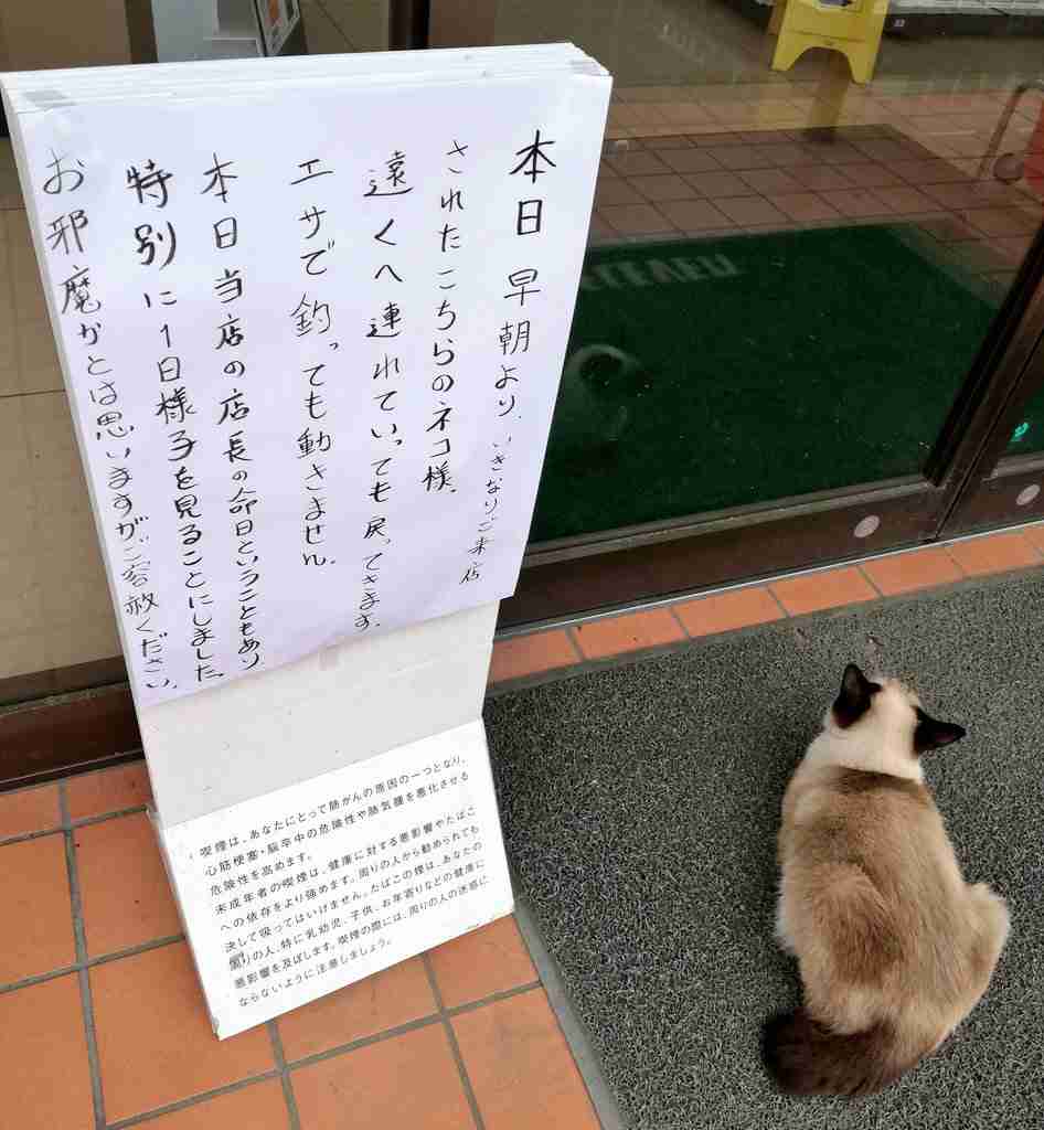 ごめん、私この画像ガルちゃんで何度も貼ってしまってます!って画像を正直に晒していくトピ