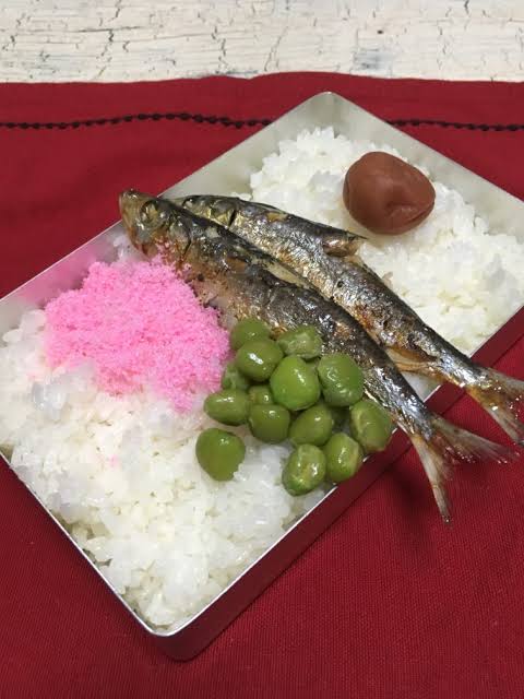 お弁当箱のオススメ🍱