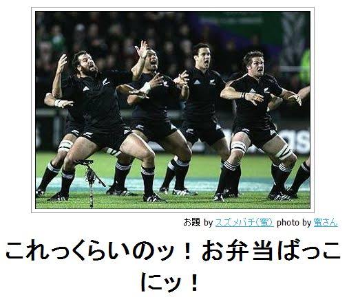 お弁当箱のオススメ🍱