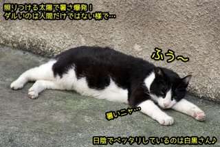 【スギちゃん雑談】食欲の秋が来るぜぇ~🍁part41
