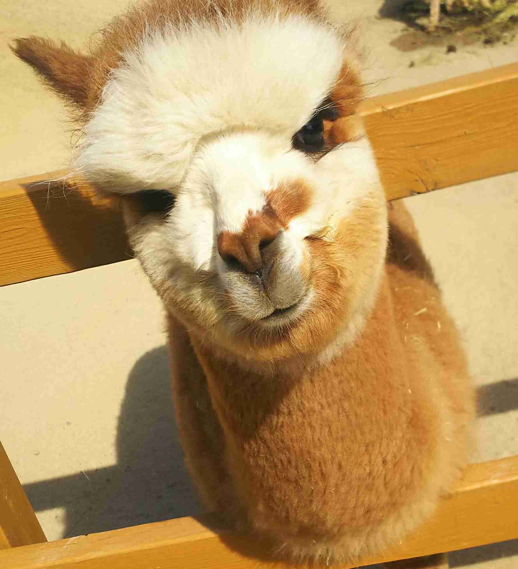 【笑おう】写真下手くそ選手権Part5 【時々ウマイ!もOK!】