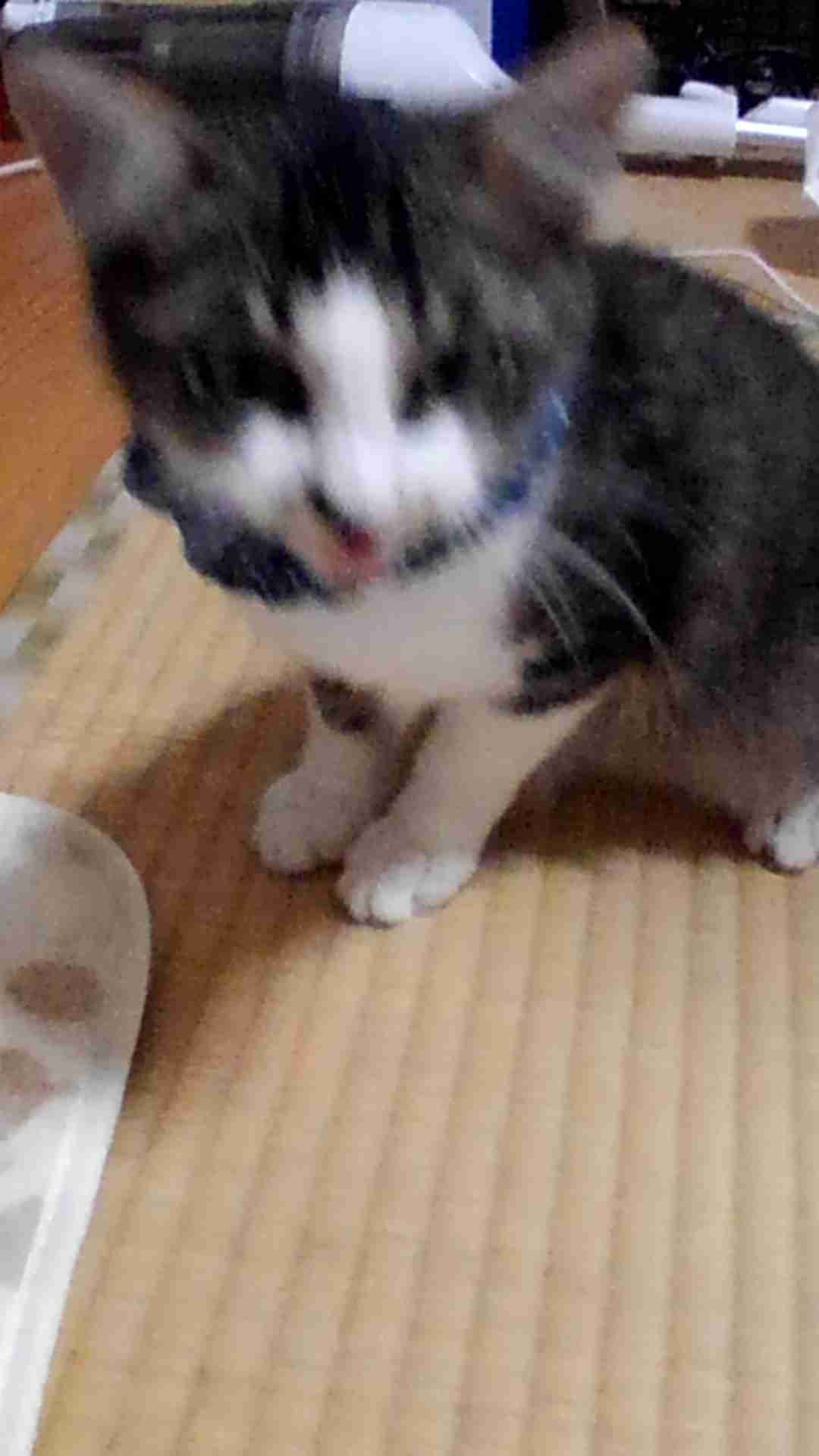 【笑おう】写真下手くそ選手権Part5 【時々ウマイ!もOK!】