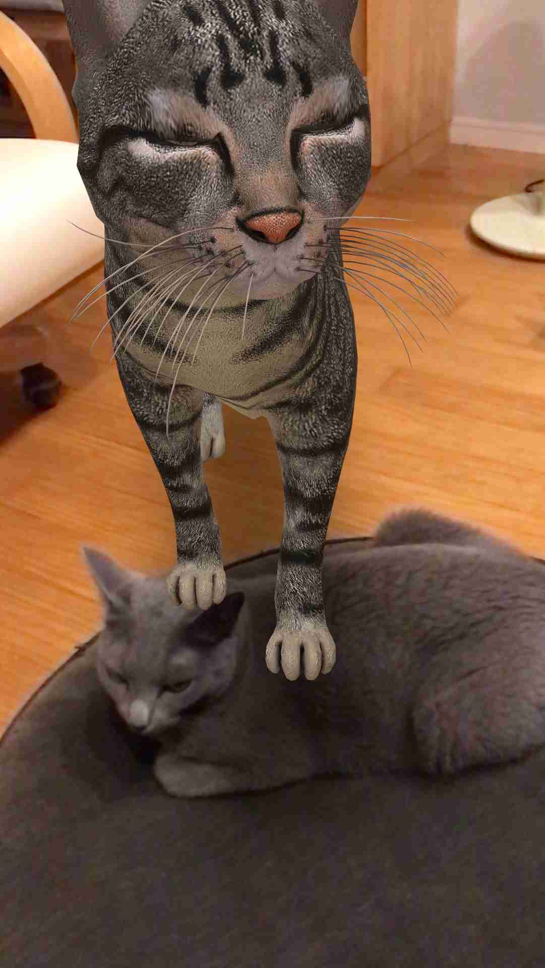 【笑おう】写真下手くそ選手権Part5 【時々ウマイ!もOK!】