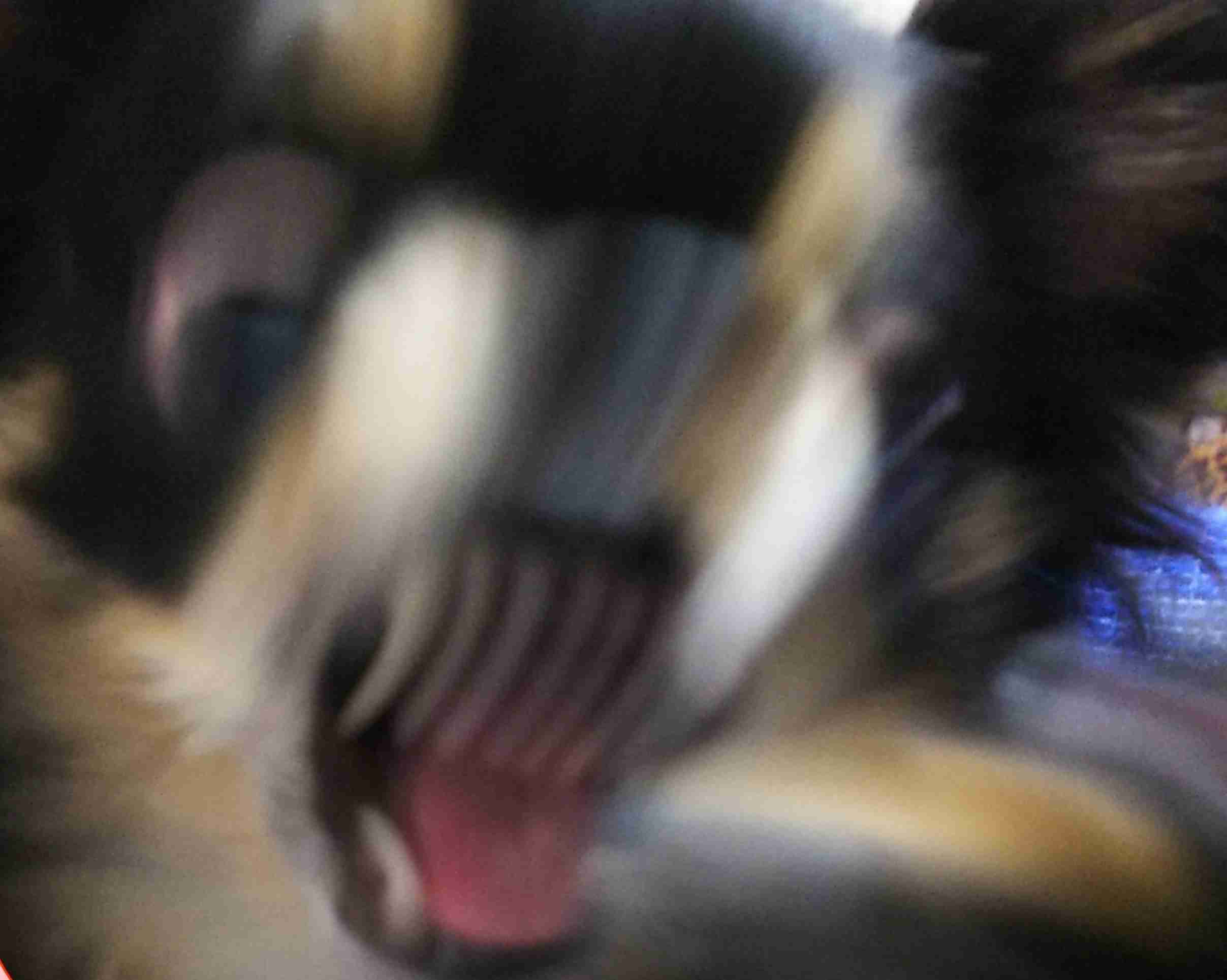 【笑おう】写真下手くそ選手権Part5 【時々ウマイ!もOK!】
