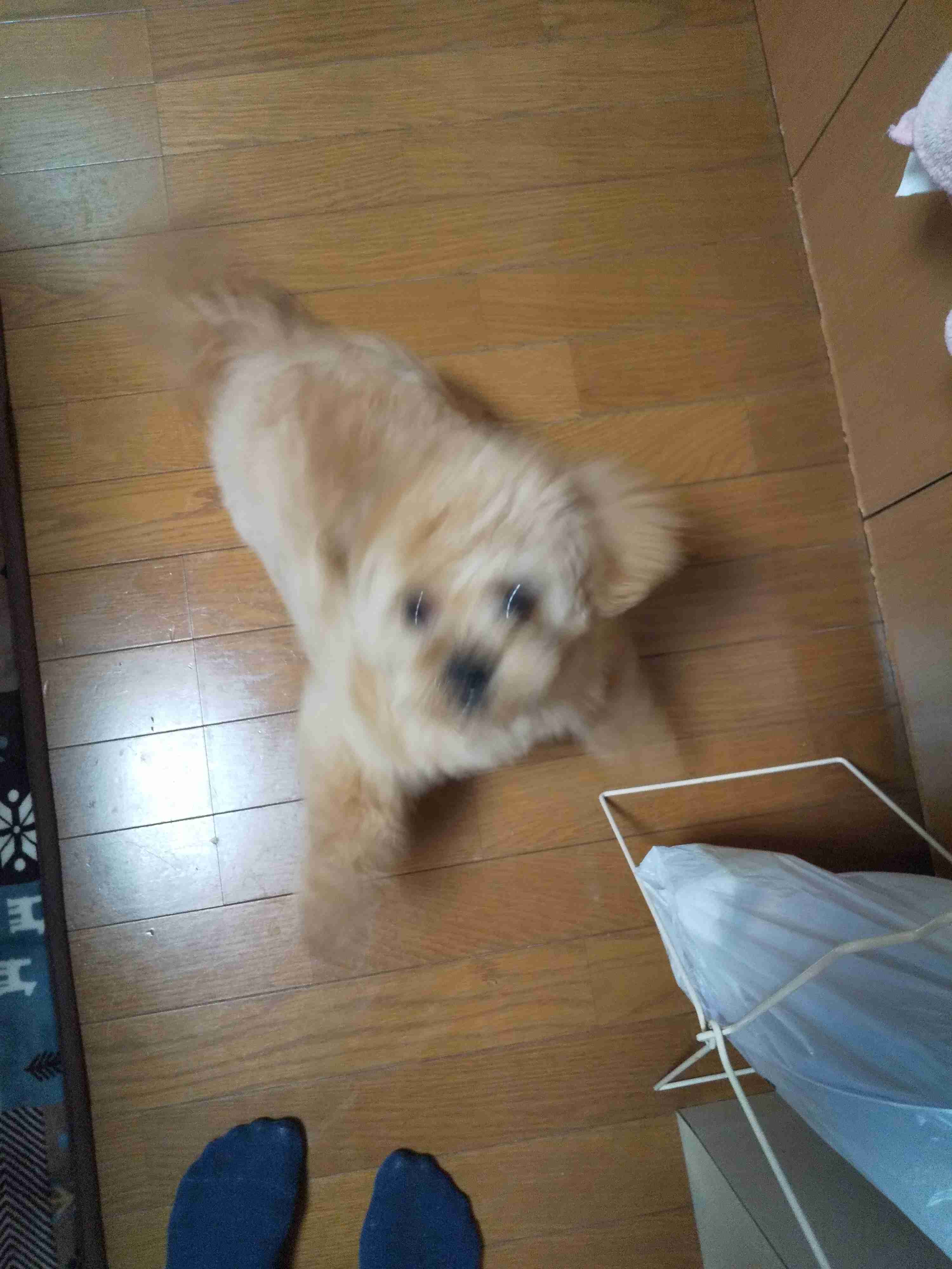 【笑おう】写真下手くそ選手権Part5 【時々ウマイ!もOK!】