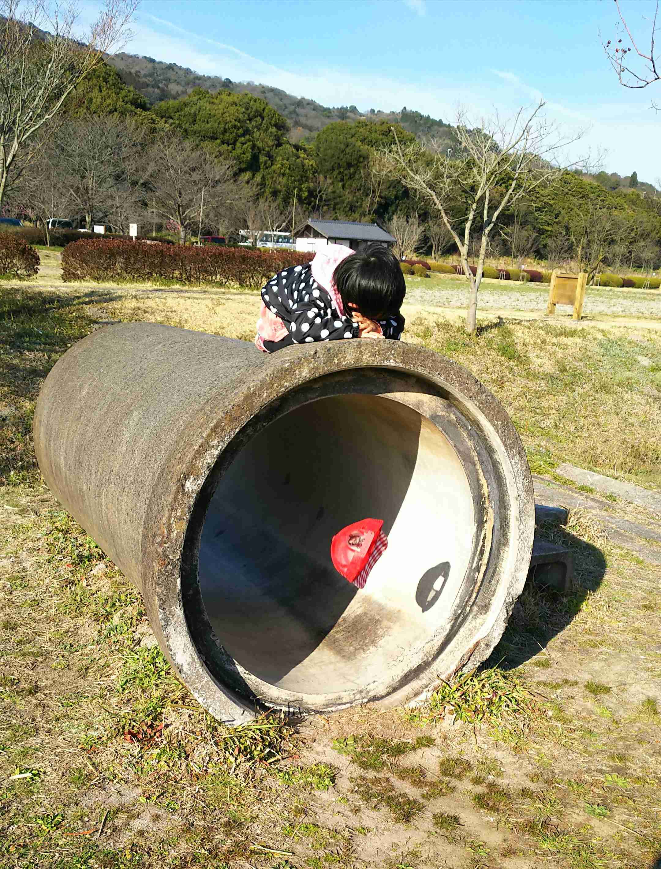 【笑おう】写真下手くそ選手権Part5 【時々ウマイ!もOK!】