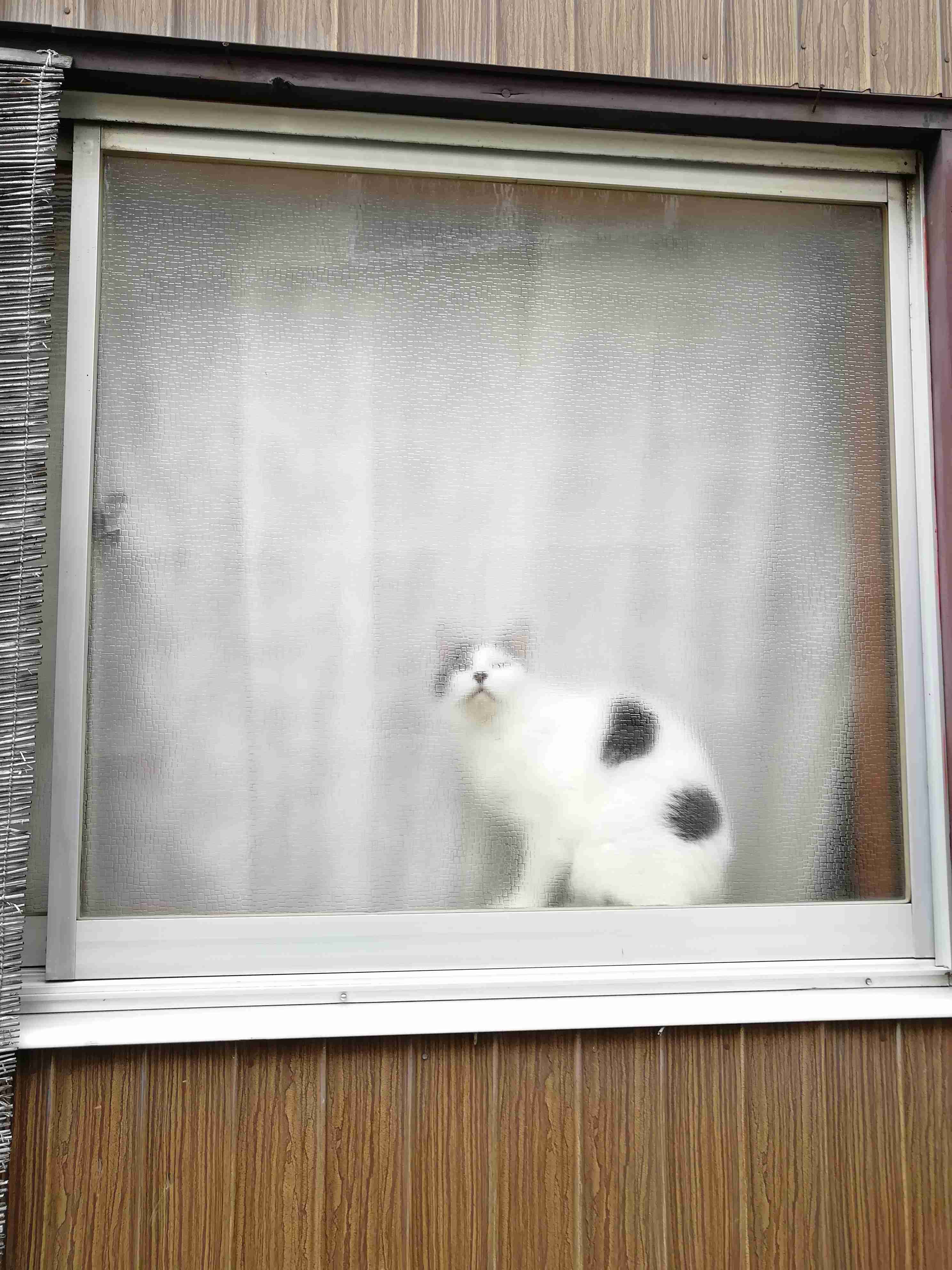 【笑おう】写真下手くそ選手権Part5 【時々ウマイ!もOK!】
