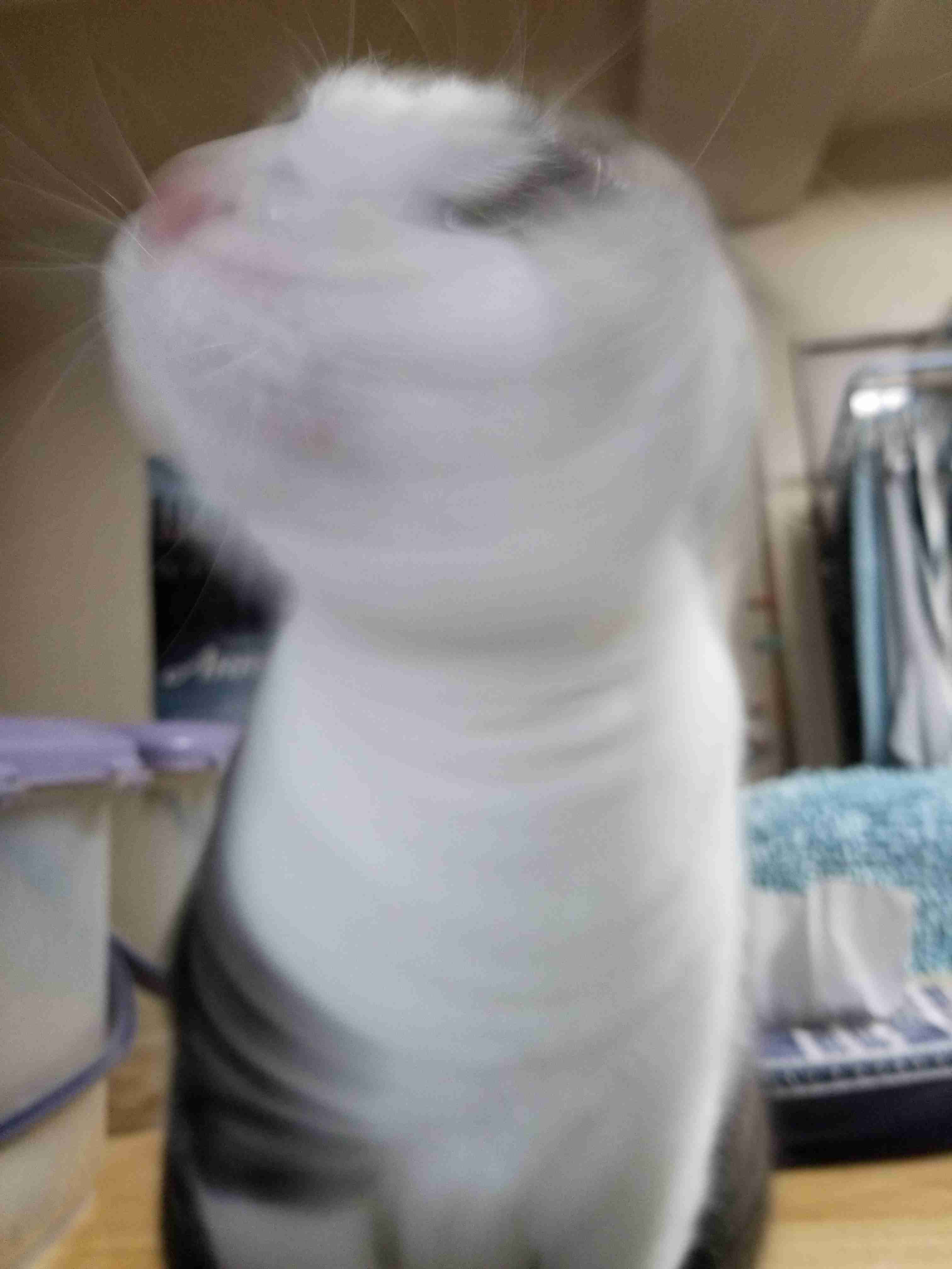 【笑おう】写真下手くそ選手権Part5 【時々ウマイ!もOK!】