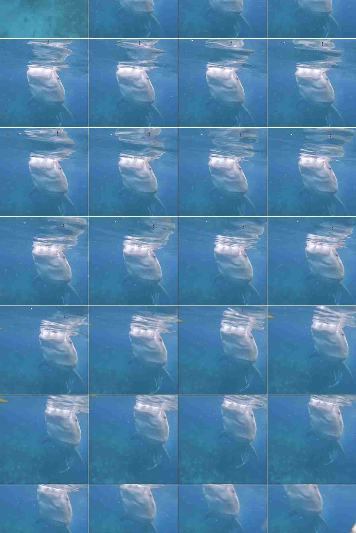 【笑おう】写真下手くそ選手権Part5 【時々ウマイ!もOK!】