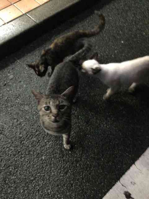【笑おう】写真下手くそ選手権Part5 【時々ウマイ!もOK!】