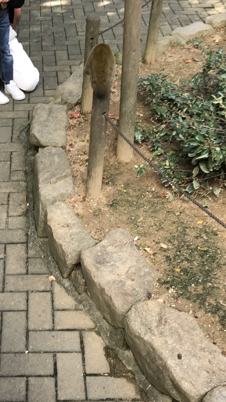 【笑おう】写真下手くそ選手権Part5 【時々ウマイ!もOK!】