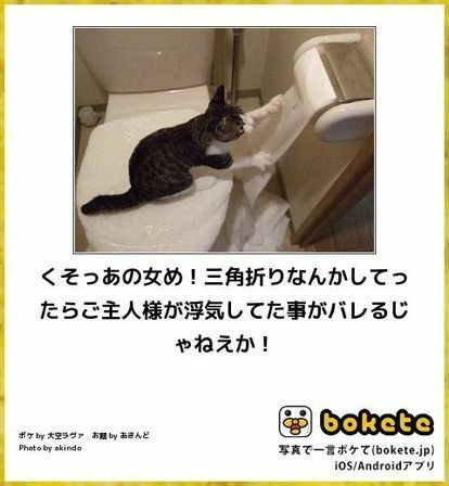 何度見ても秀逸だと思う「bokete」を貼っていくトピpart3