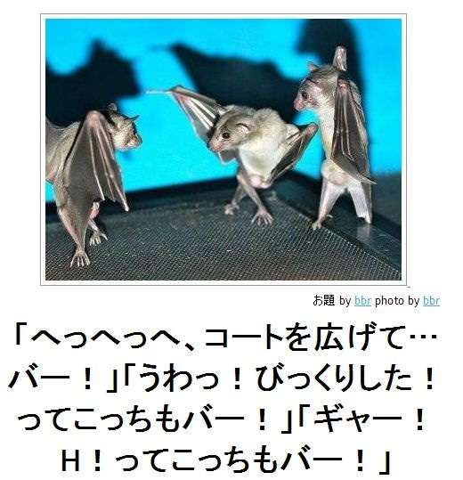 何度見ても秀逸だと思う「bokete」を貼っていくトピpart3