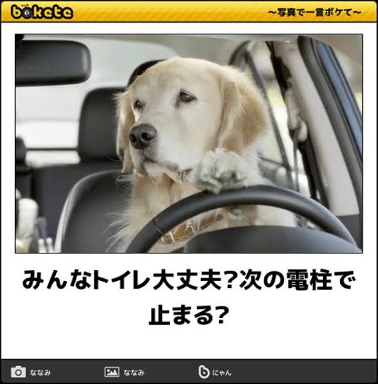何度見ても秀逸だと思う「bokete」を貼っていくトピpart3
