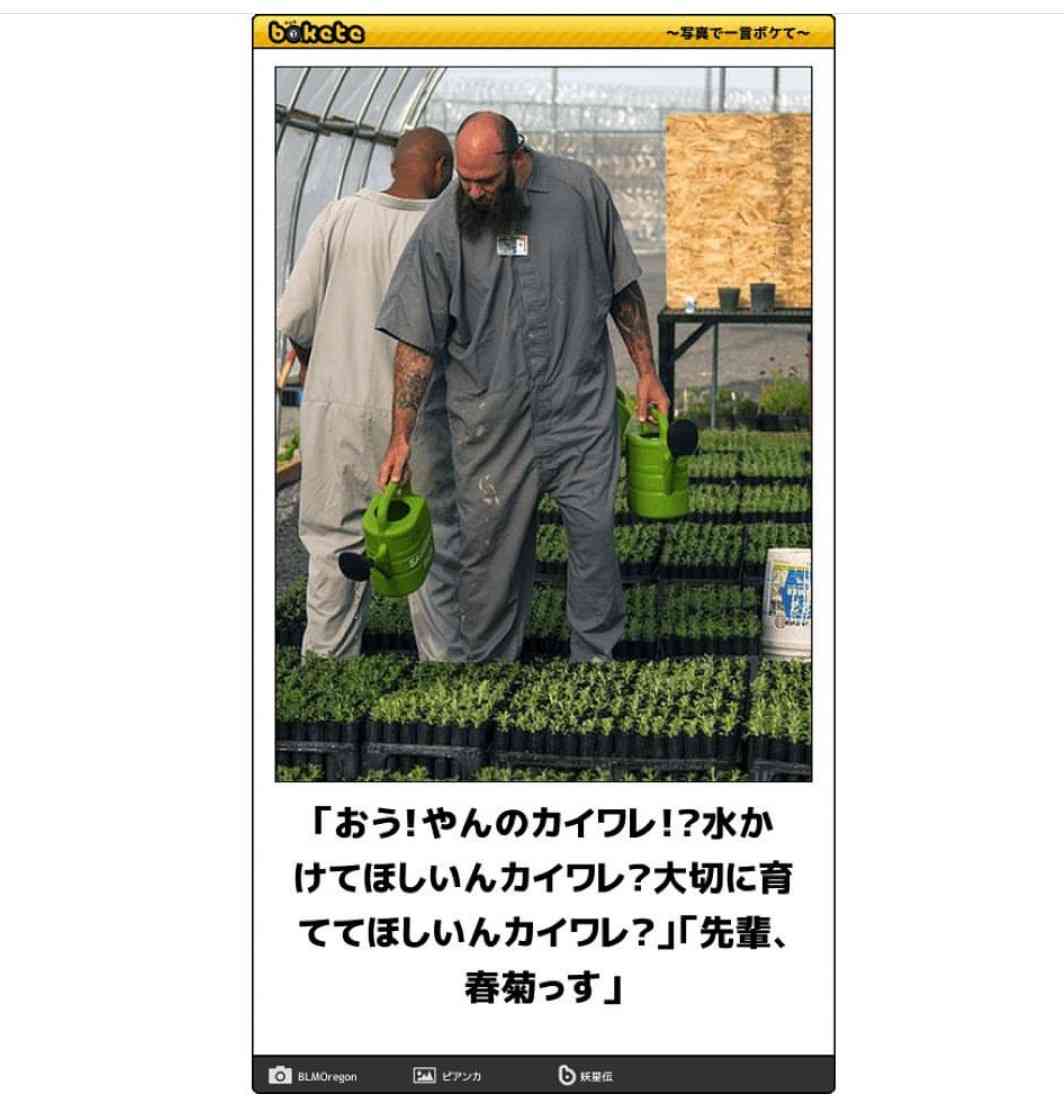 何度見ても秀逸だと思う「bokete」を貼っていくトピpart3