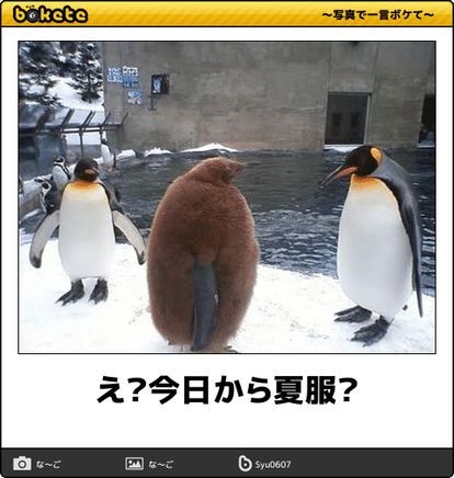 何度見ても秀逸だと思う「bokete」を貼っていくトピpart3