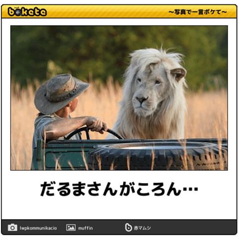 何度見ても秀逸だと思う「bokete」を貼っていくトピpart3