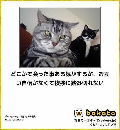 何度見ても秀逸だと思う「bokete」を貼っていくトピpart3