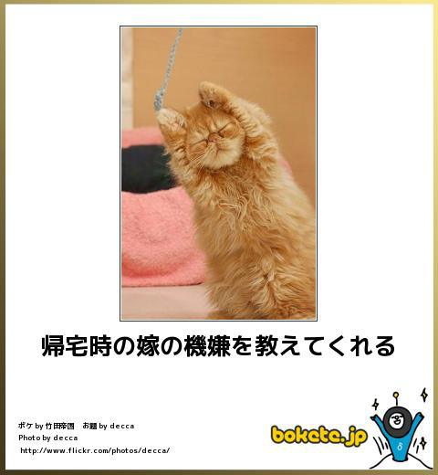 何度見ても秀逸だと思う「bokete」を貼っていくトピpart3