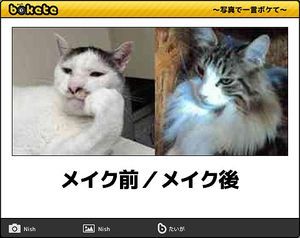 何度見ても秀逸だと思う「bokete」を貼っていくトピpart3