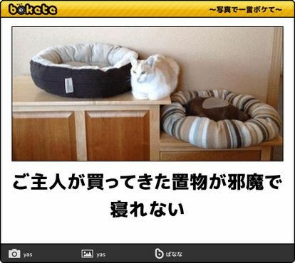 何度見ても秀逸だと思う「bokete」を貼っていくトピpart3