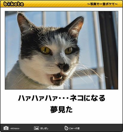 何度見ても秀逸だと思う「bokete」を貼っていくトピpart3