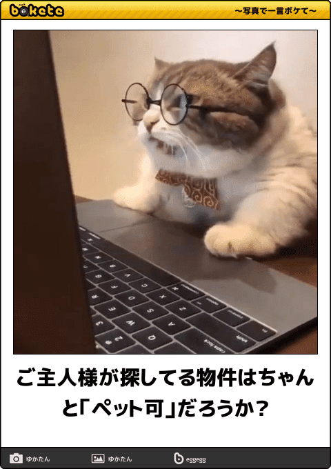 何度見ても秀逸だと思う「bokete」を貼っていくトピpart3