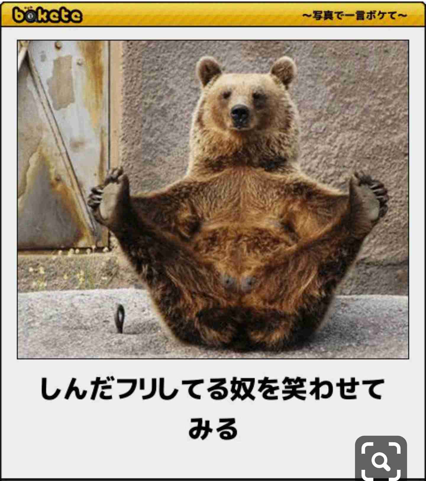 何度見ても秀逸だと思う「bokete」を貼っていくトピpart3