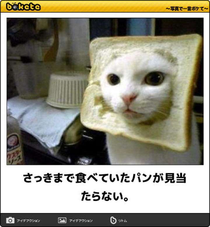 何度見ても秀逸だと思う「bokete」を貼っていくトピpart3