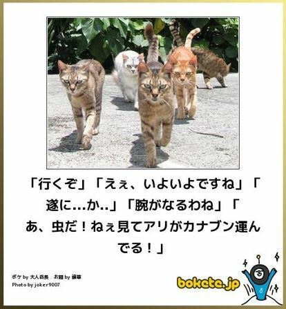 何度見ても秀逸だと思う「bokete」を貼っていくトピpart3