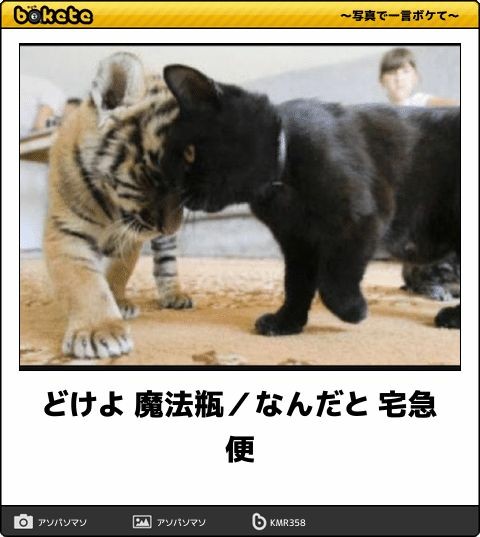 何度見ても秀逸だと思う「bokete」を貼っていくトピpart3