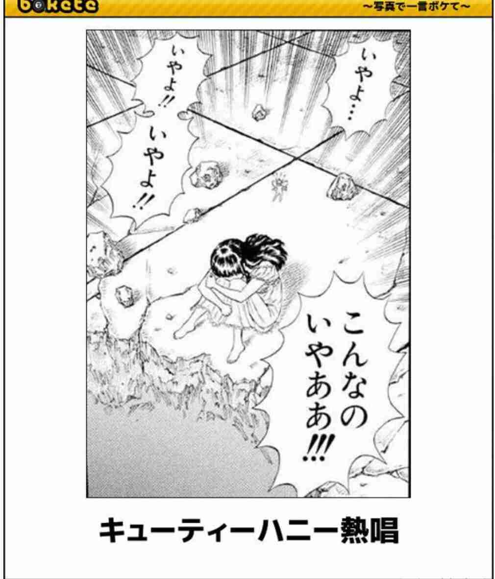 何度見ても秀逸だと思う「bokete」を貼っていくトピpart3