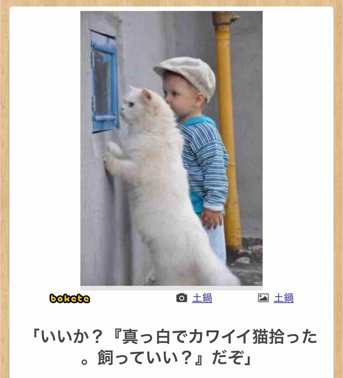 何度見ても秀逸だと思う「bokete」を貼っていくトピpart3