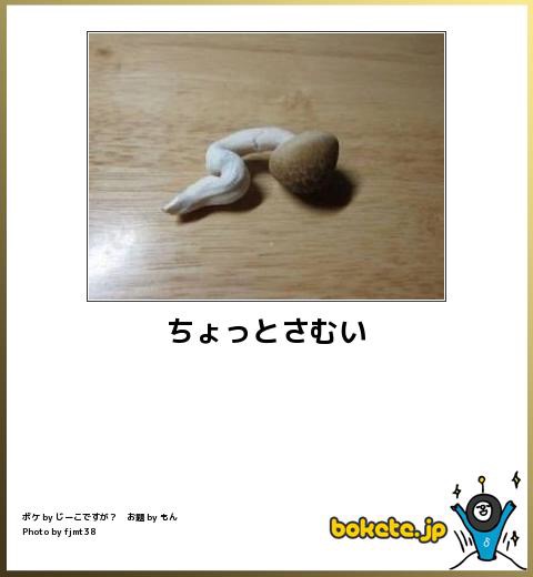 何度見ても秀逸だと思う「bokete」を貼っていくトピpart3