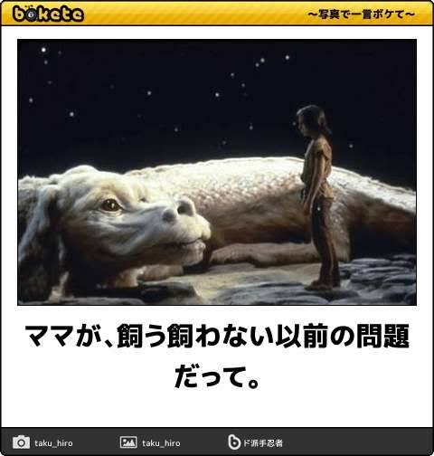 何度見ても秀逸だと思う「bokete」を貼っていくトピpart3