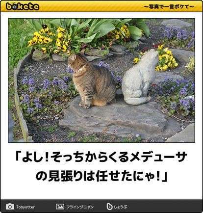 何度見ても秀逸だと思う「bokete」を貼っていくトピpart3