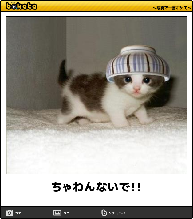 何度見ても秀逸だと思う「bokete」を貼っていくトピpart3