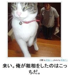 何度見ても秀逸だと思う「bokete」を貼っていくトピpart3
